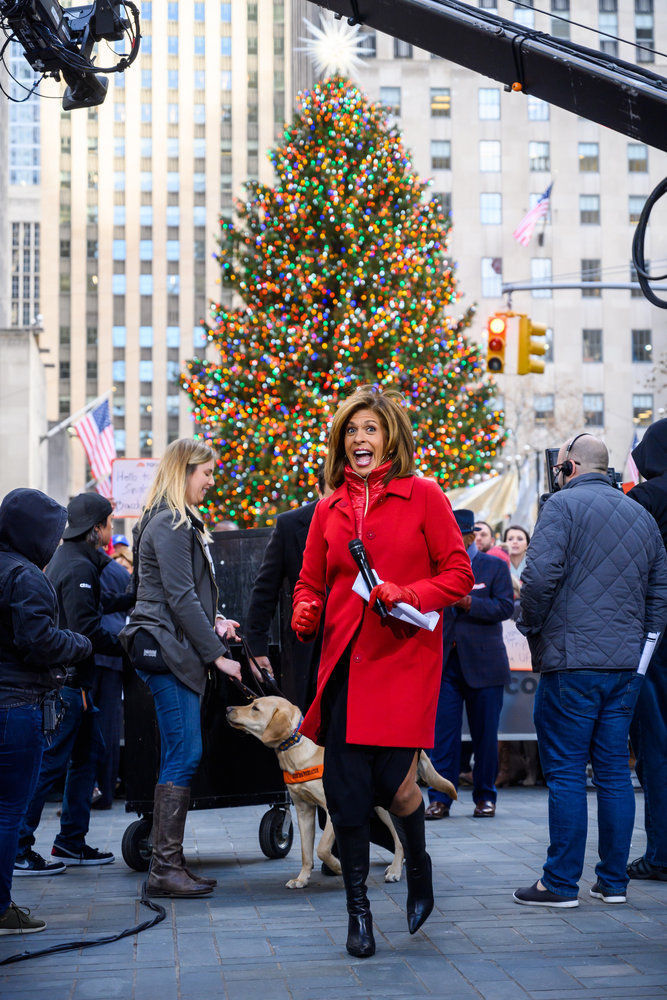 Hoda Kotb